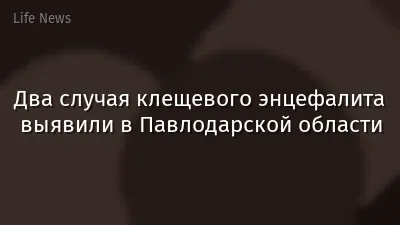 Два случая клещевого энцефалита выявили в Павлодарской области