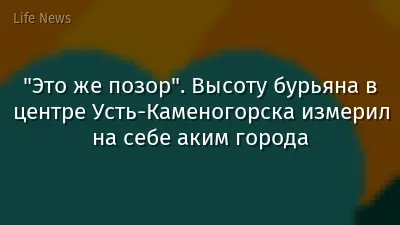 "Это же позор". Высоту бурьяна в центре Усть-Каменогорска измерил на себе аким города