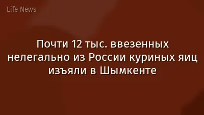 Почти 12 тыс. ввезенных нелегально из России куриных яиц изъяли в Шымкенте