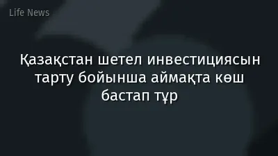 Қазақстан шетел инвестициясын тарту бойынша аймақта көш бастап тұр