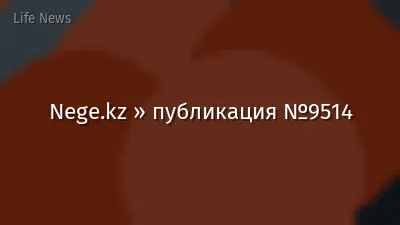 Nege.kz » публикация №9514