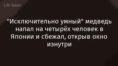 "Исключительно умный" медведь напал на четырёх человек в Японии и сбежал, открыв окно изнутри