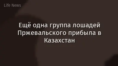 Ещё одна группа лошадей Пржевальского прибыла в Казахстан