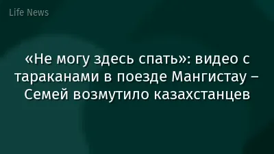 «Не могу здесь спать»: видео с тараканами в поезде Мангистау – Семей возмутило казахстанцев