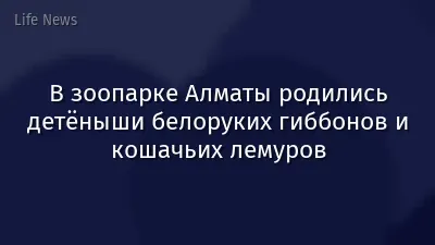 В зоопарке Алматы родились детёныши белоруких гиббонов и кошачьих лемуров