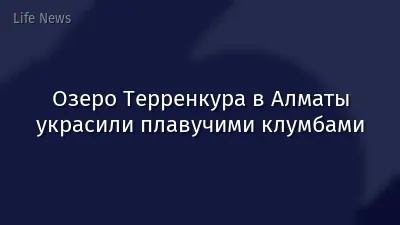 Озеро Терренкура в Алматы украсили плавучими клумбами