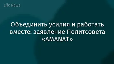 Объединить усилия и работать вместе: заявление Политсовета «AMANAT»