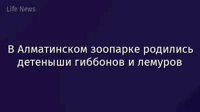 В Алматинском зоопарке родились детеныши гиббонов и лемуров