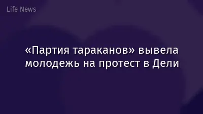 «Партия тараканов» вывела молодежь на протест в Дели