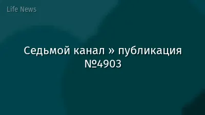 Седьмой канал » публикация №4903