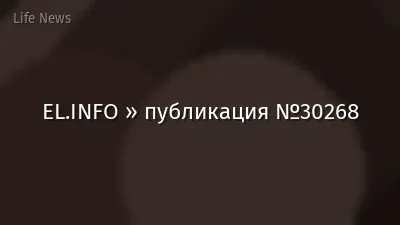 EL.INFO » публикация №30268
