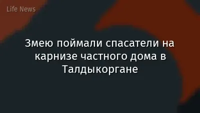 Змею поймали спасатели на карнизе частного дома в Талдыкоргане
