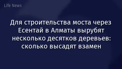 Для строительства моста через Есентай в Алматы вырубят несколько десятков деревьев: сколько высадят взамен