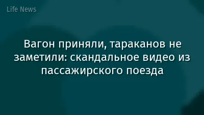 Вагон приняли, тараканов не заметили: скандальное видео из пассажирского поезда