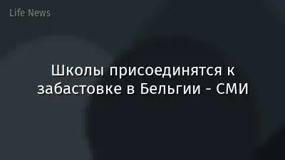Школы присоединятся к забастовке в Бельгии - СМИ