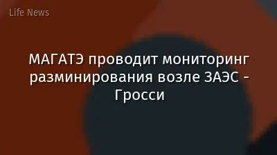 МАГАТЭ проводит мониторинг разминирования возле ЗАЭС - Гросси