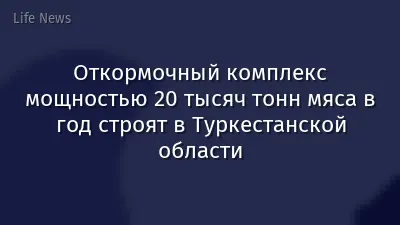 Откормочный комплекс мощностью 20 тысяч тонн мяса в год строят в Туркестанской области