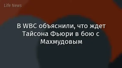 В WBC объяснили, что ждет Тайсона Фьюри в бою с Махмудовым