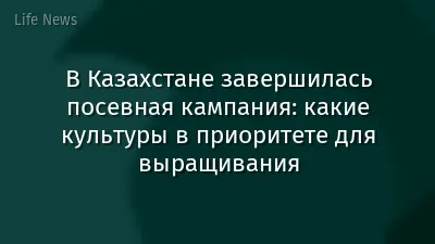 В Казахстане завершилась посевная кампания: какие культуры в приоритете для выращивания