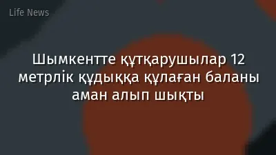 Шымкентте құтқарушылар 12 метрлік құдыққа құлаған баланы аман алып шықты