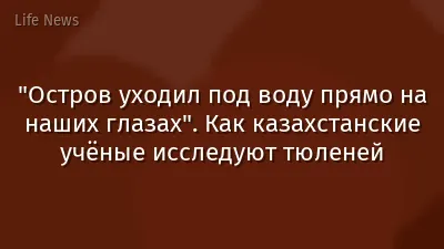 "Остров уходил под воду прямо на наших глазах". Как казахстанские учёные исследуют тюленей