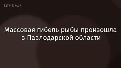 Массовая гибель рыбы произошла в Павлодарской области