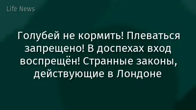 Голубей не кормить! Плеваться запрещено! В доспехах вход воспрещён! Странные законы, действующие в Лондоне