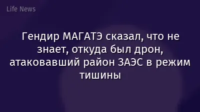 Гендир МАГАТЭ сказал, что не знает, откуда был дрон, атаковавший район ЗАЭС в режим тишины