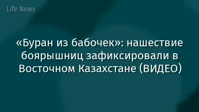 «Буран из бабочек»: нашествие боярышниц зафиксировали в Восточном Казахстане (ВИДЕО)