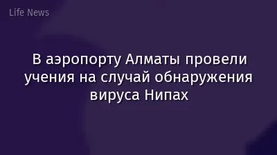 В аэропорту Алматы провели учения на случай обнаружения вируса Нипах