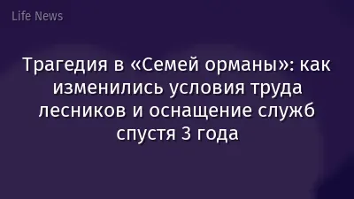 Трагедия в «Семей орманы»: как изменились условия труда лесников и оснащение служб спустя 3 года