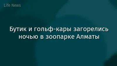 Бутик и гольф-кары загорелись ночью в зоопарке Алматы