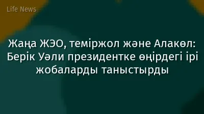 Жаңа ЖЭО, теміржол және Алакөл: Берік Уәли президентке өңірдегі ірі жобаларды таныстырды