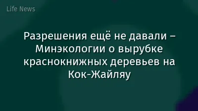 Разрешения ещё не давали – Минэкологии о вырубке краснокнижных деревьев на Кок-Жайляу