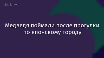 Медведя поймали после прогулки по японскому городу