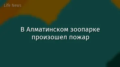 В Алматинском зоопарке произошел пожар