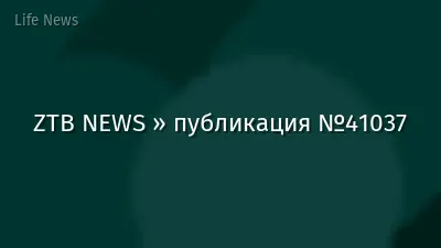 ZTB NEWS » публикация №41037