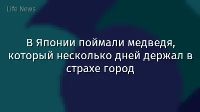 В Японии поймали медведя, который несколько дней держал в страхе город