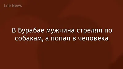 В Бурабае мужчина стрелял по собакам, а попал в человека
