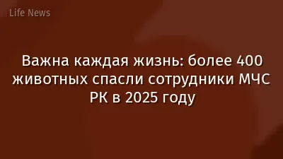 Важна каждая жизнь: более 400 животных спасли сотрудники МЧС РК в 2025 году