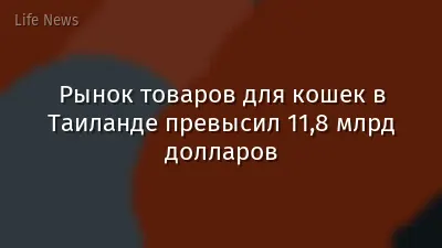 Рынок товаров для кошек в Таиланде превысил 11,8 млрд долларов
