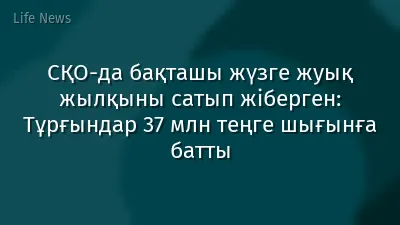 СҚО-да бақташы жүзге жуық жылқыны сатып жіберген: Тұрғындар 37 млн теңге шығынға батты