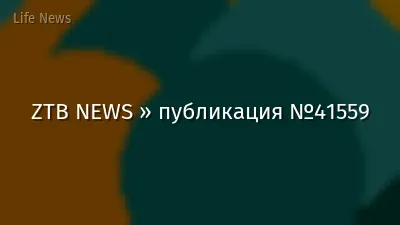 ZTB NEWS » публикация №41559