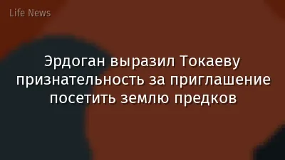 Эрдоган выразил Токаеву признательность за приглашение посетить землю предков