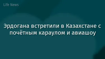 Эрдогана встретили в Казахстане с почётным караулом и авиашоу