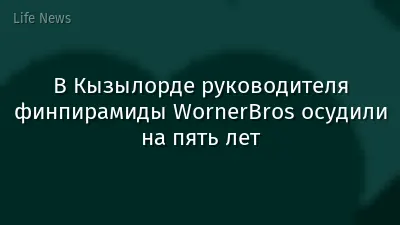 В Кызылорде руководителя финпирамиды WornerBros осудили на пять лет