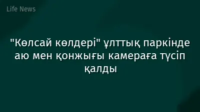 "Көлсай көлдері" ұлттық паркінде аю мен қонжығы камераға түсіп қалды