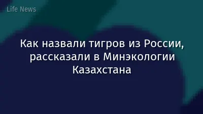 Как назвали тигров из России, рассказали в Минэкологии Казахстана