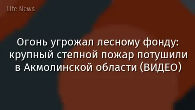 Огонь угрожал лесному фонду: крупный степной пожар потушили в Акмолинской области (ВИДЕО)