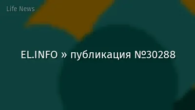 EL.INFO » публикация №30288